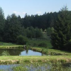 Lohe4